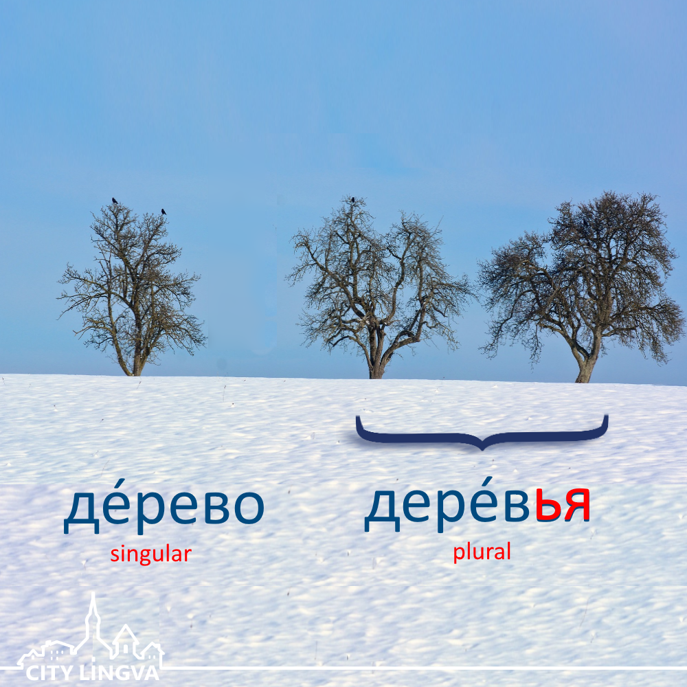 Русская грамматика | Russian Grammar